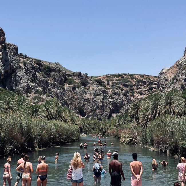 Preveli Beach: The Palm forest and the river flowing towards the beach