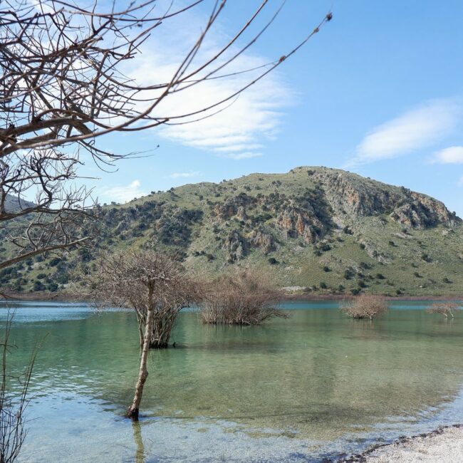 Lake Kournas: Cretan Nature Beauty