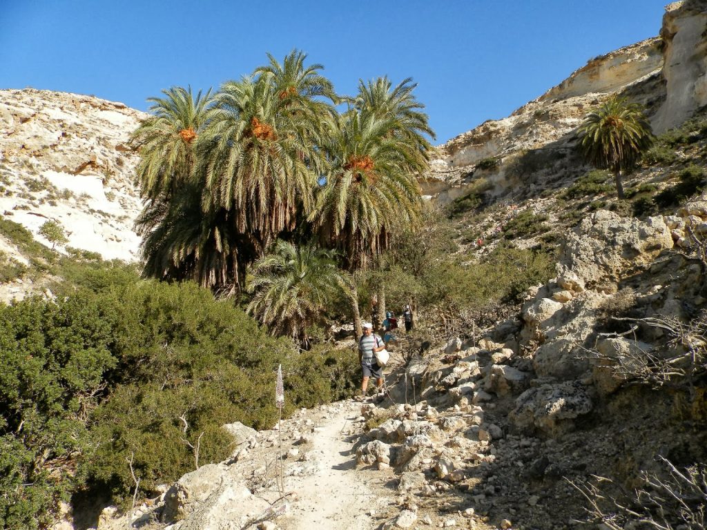 Martsalos Gorge: Palm trees expanding to Martsalos beach