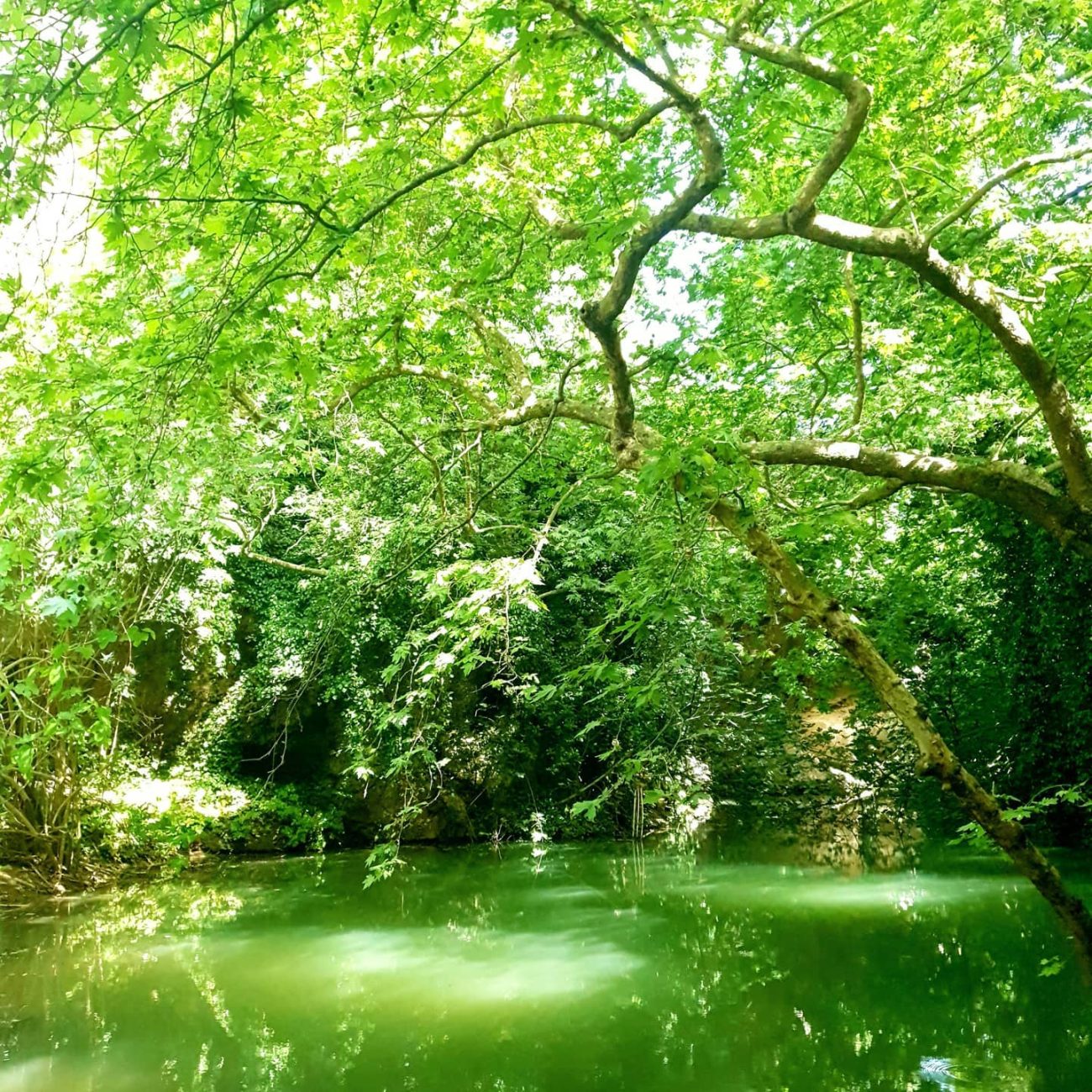 Neraidospilios: The tranquil surroundings of the cave