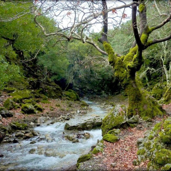 Rouvas Gorge: Karteros river running through the gorge