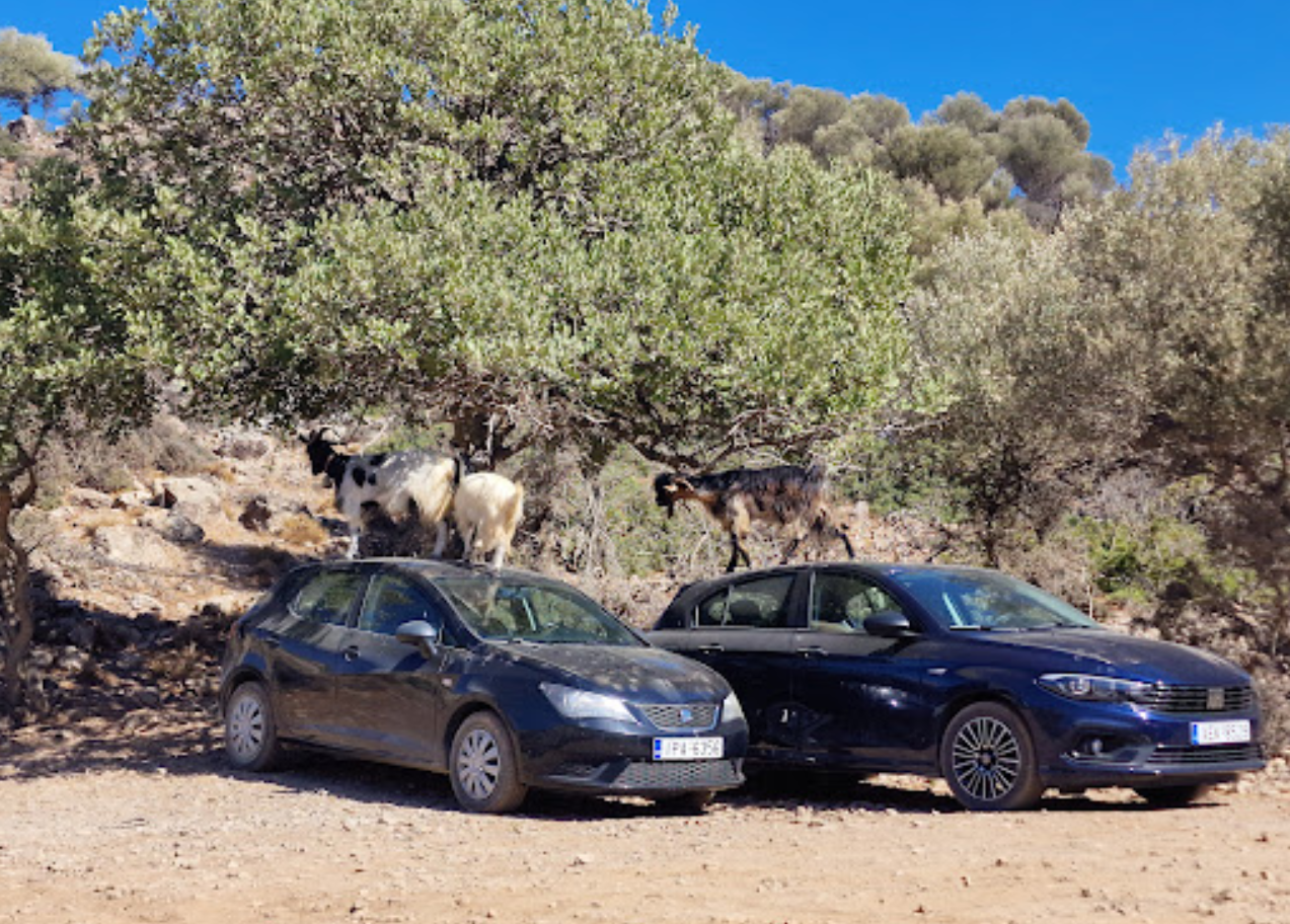 Agiofarago Gorge: Parking Lot