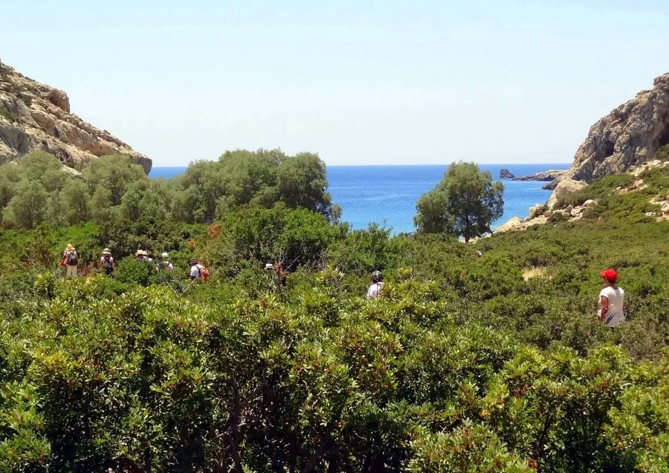 Martsalos Gorge: Path towards Martsalos beach