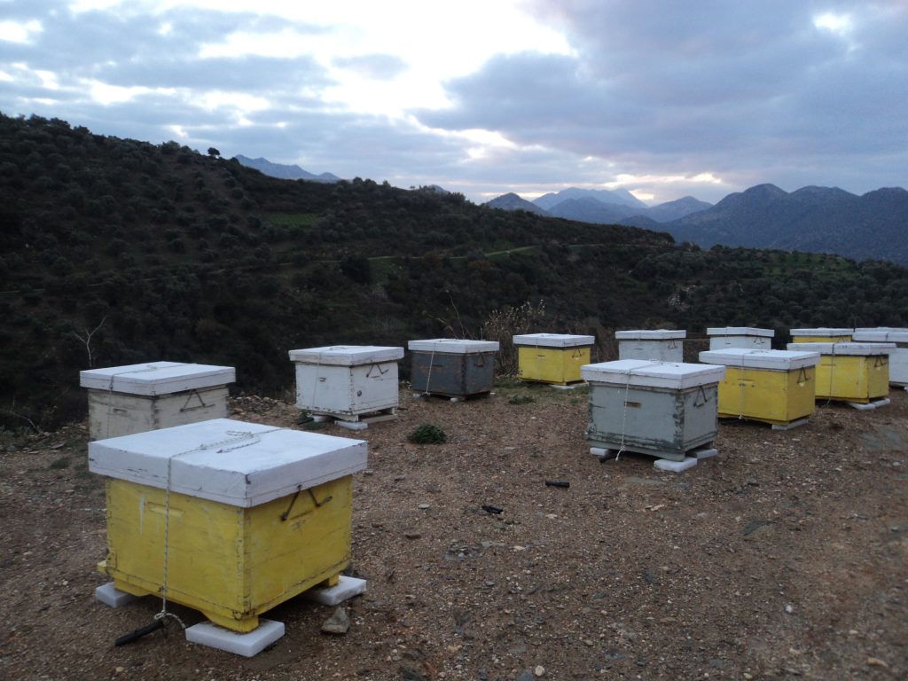 Marathos Village: Handmade bee hives for harvest