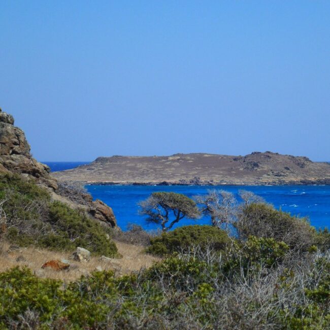 Chrissi island: Kataprosopo beach, Mikronisi islet in the background