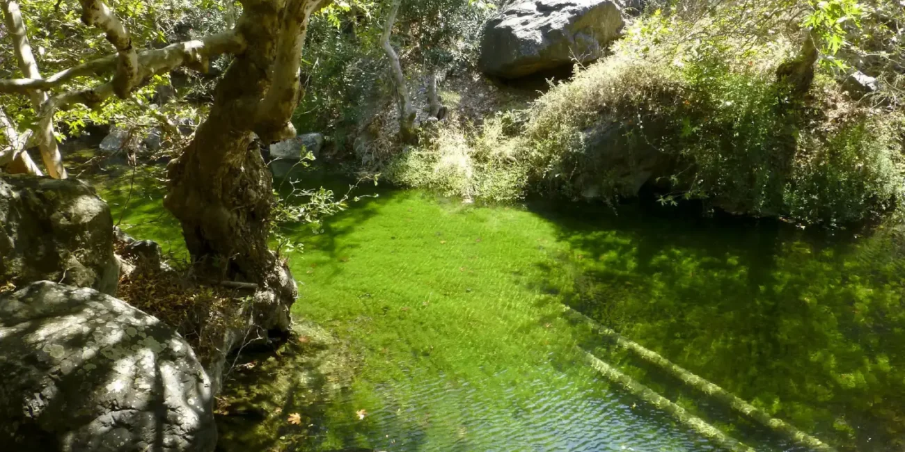 Richtis Gorge: Richtis pond where you swim