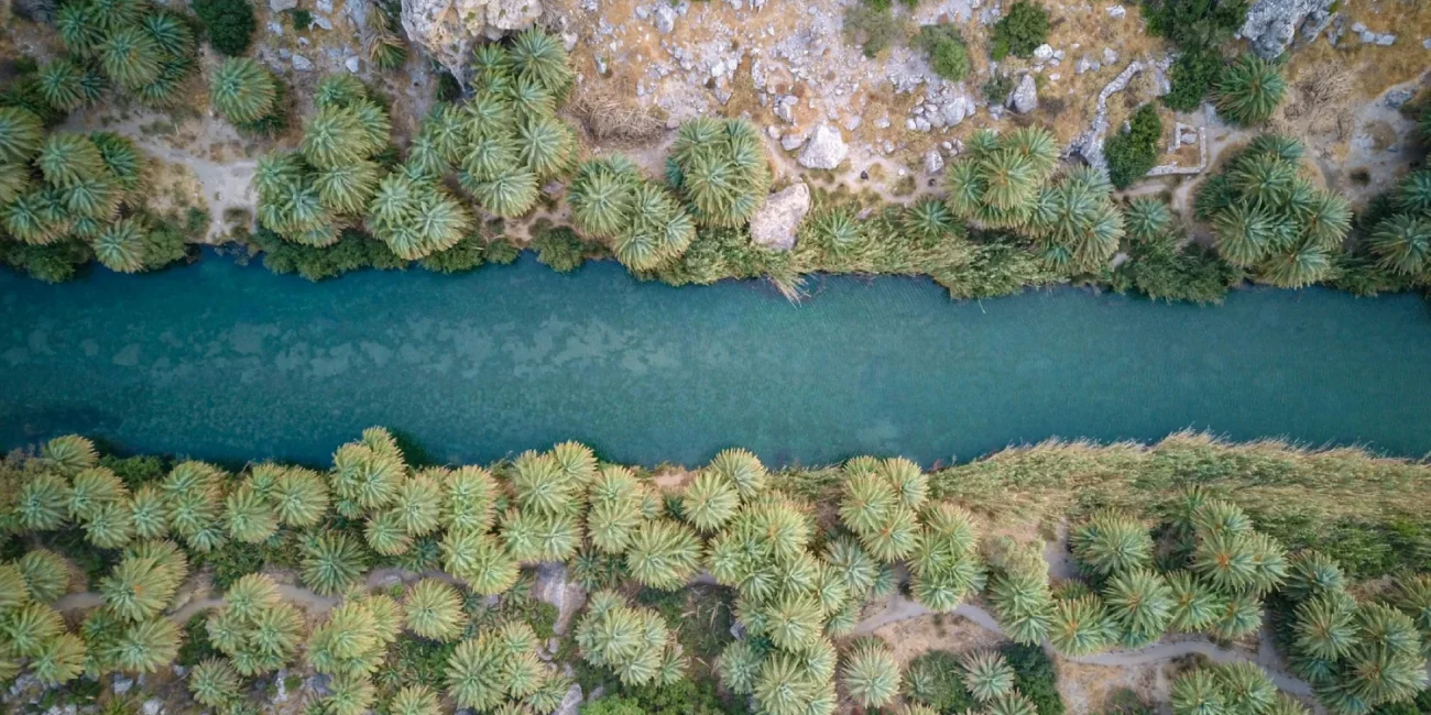 Preveli Beach: The palm tree gem of Rethymnon