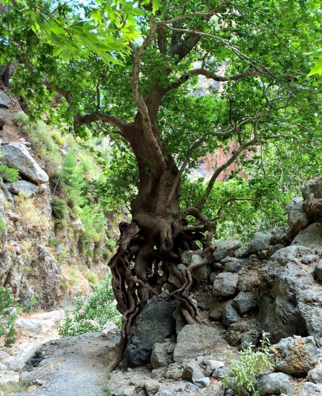 Agia Irini Gorge: Stunning views and scenic routes