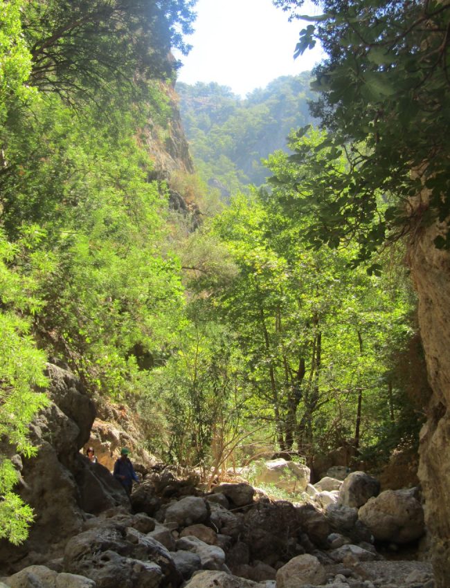 Agia Irini Gorge: Late in Summer