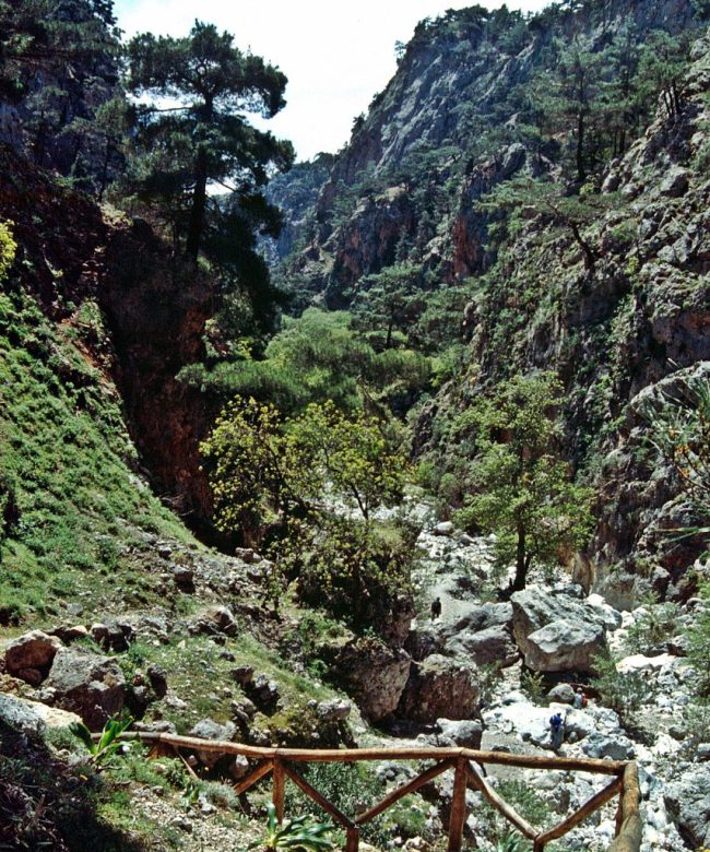 Agia Irini Gorge: The descending path to the gorge