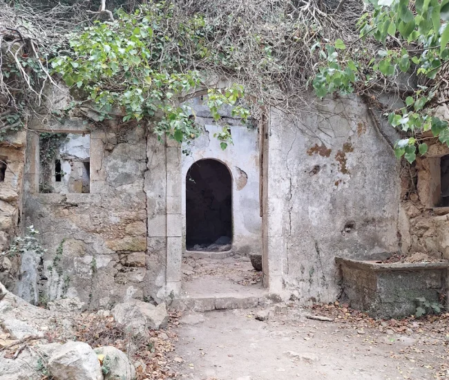 Mili Gorge: The garden and entrance of an abandoned home in Ano Mili