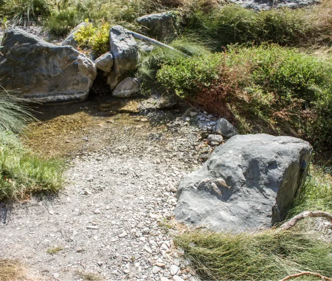 Richtis Gorge: The hike is accompanied by the smells of local herbs